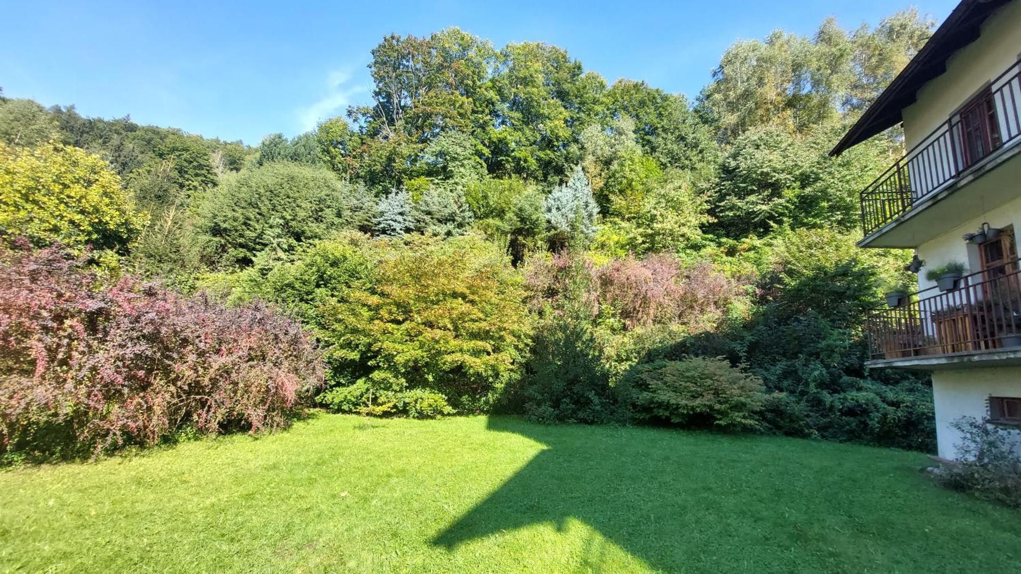 Apartament Miedzygorski Miedzygorze Exteriér fotografie