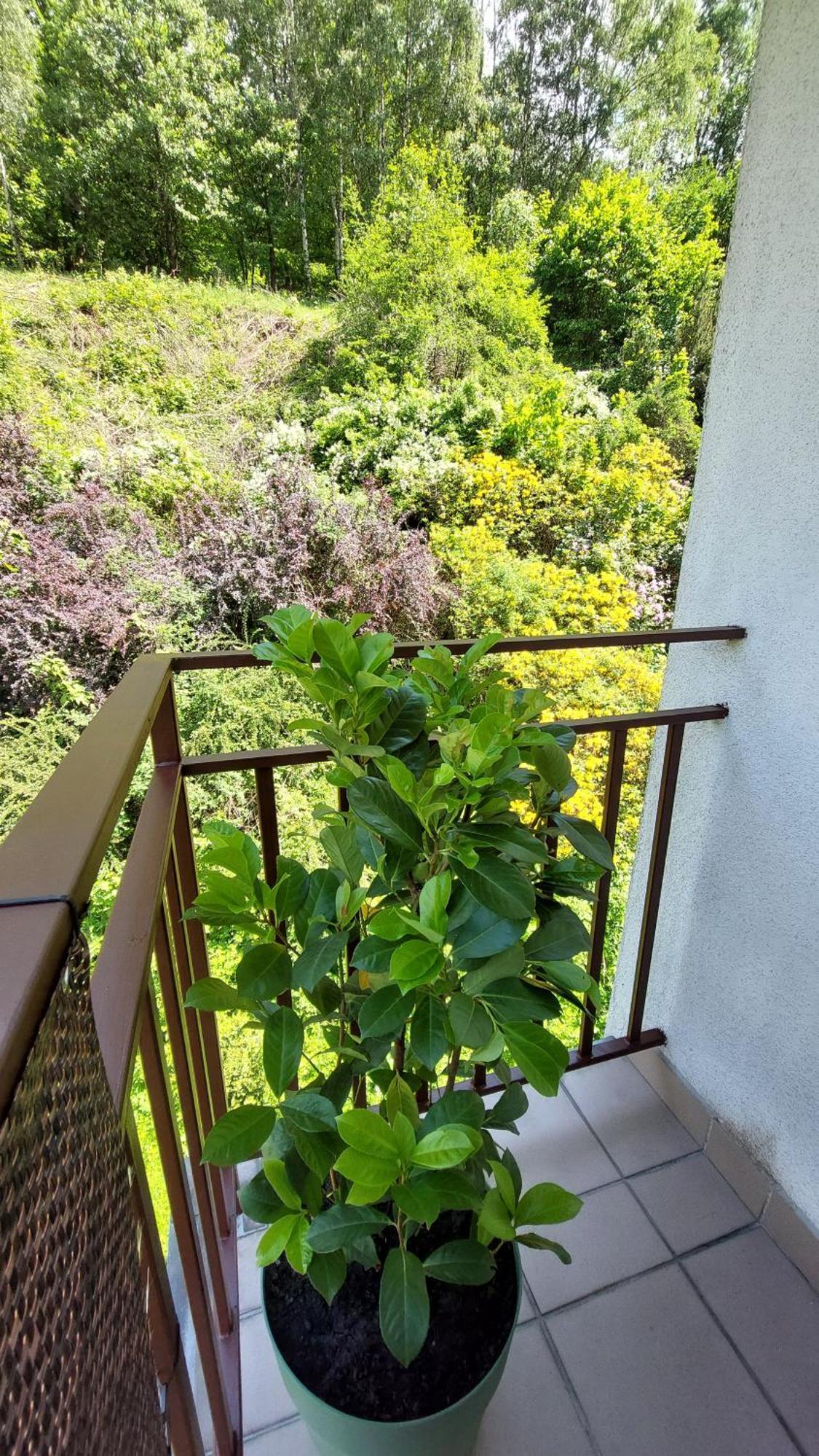 Apartament Miedzygorski Miedzygorze Exteriér fotografie
