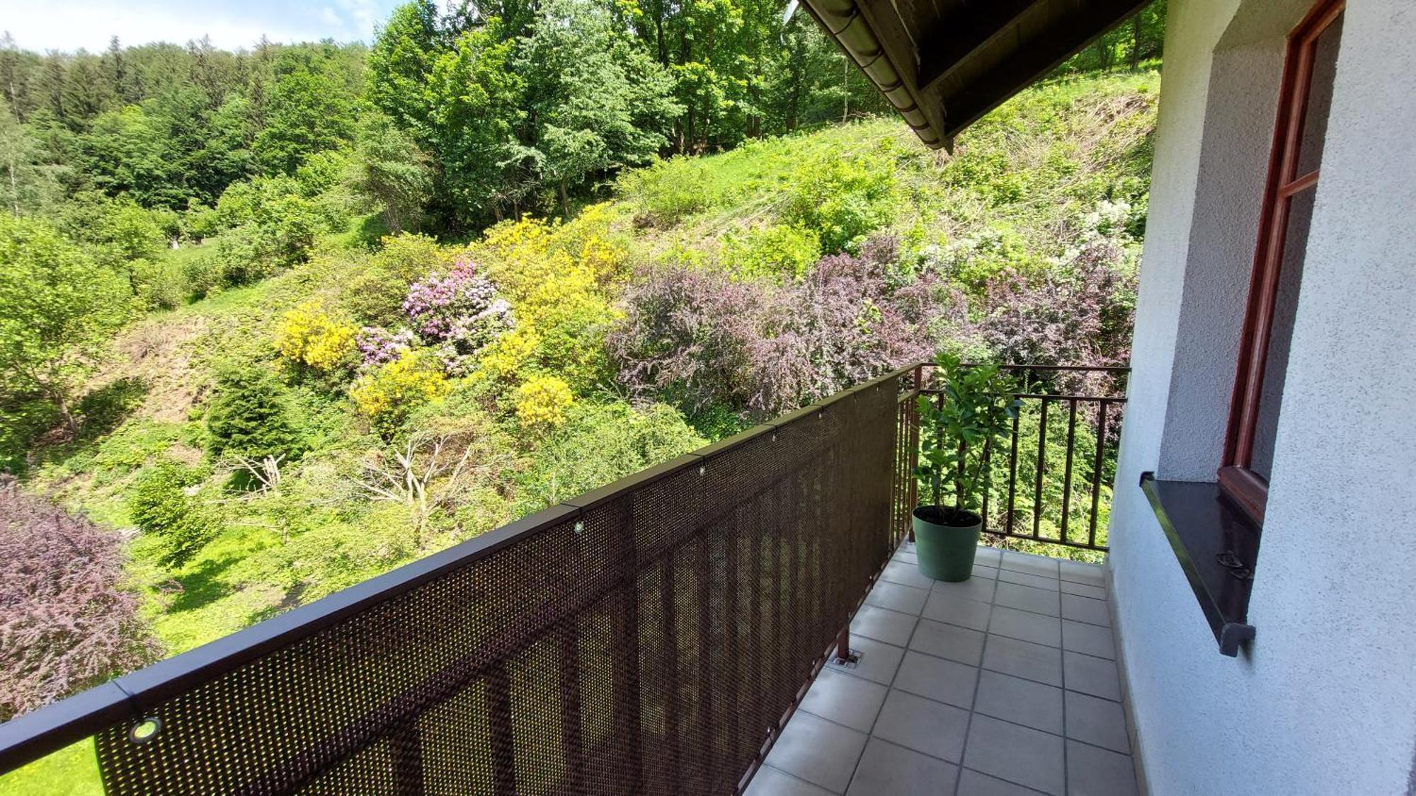Apartament Miedzygorski Miedzygorze Exteriér fotografie